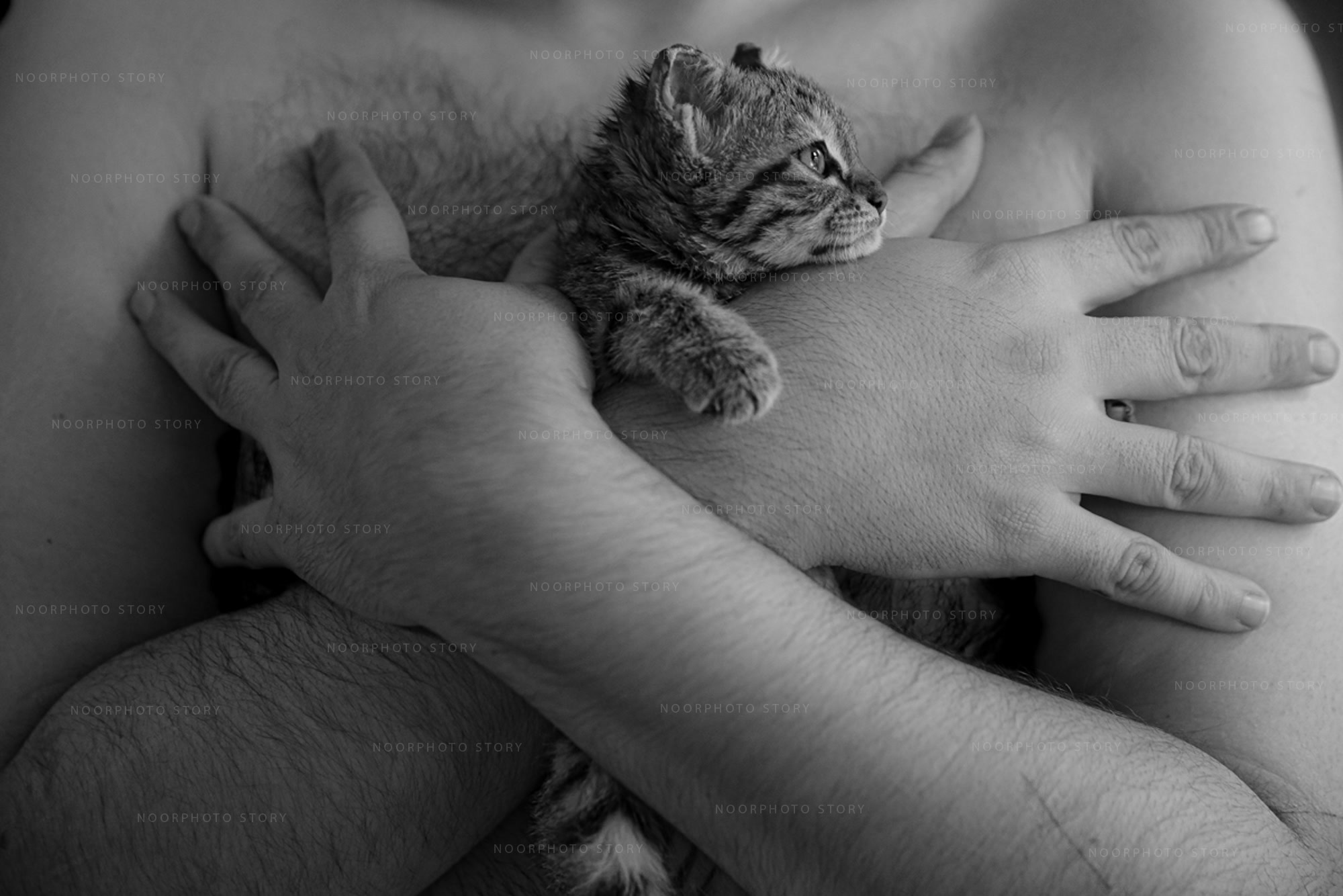 Safe%20Embraces